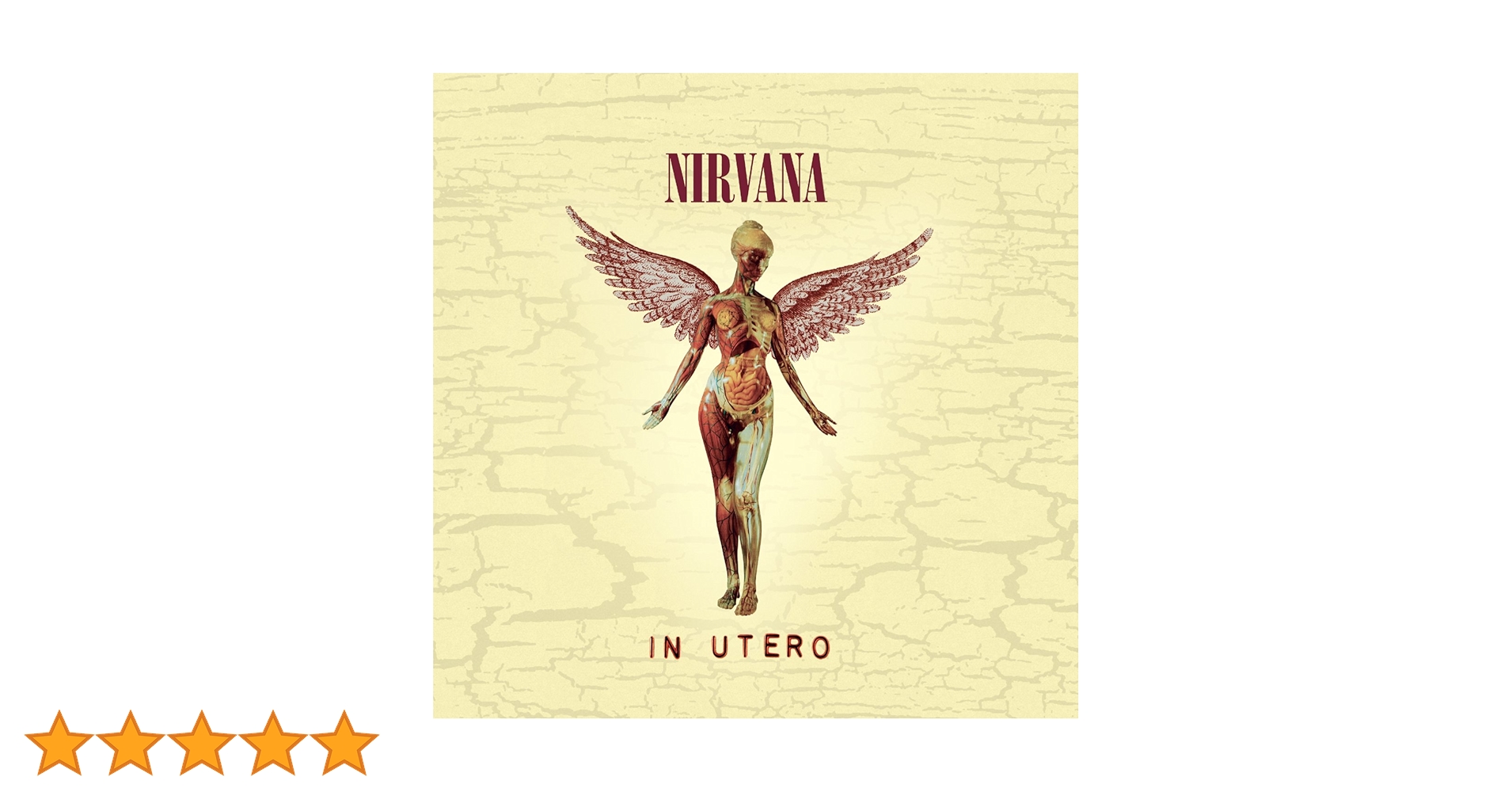 710XKXHIeNL.jpg_BO30,255,255,